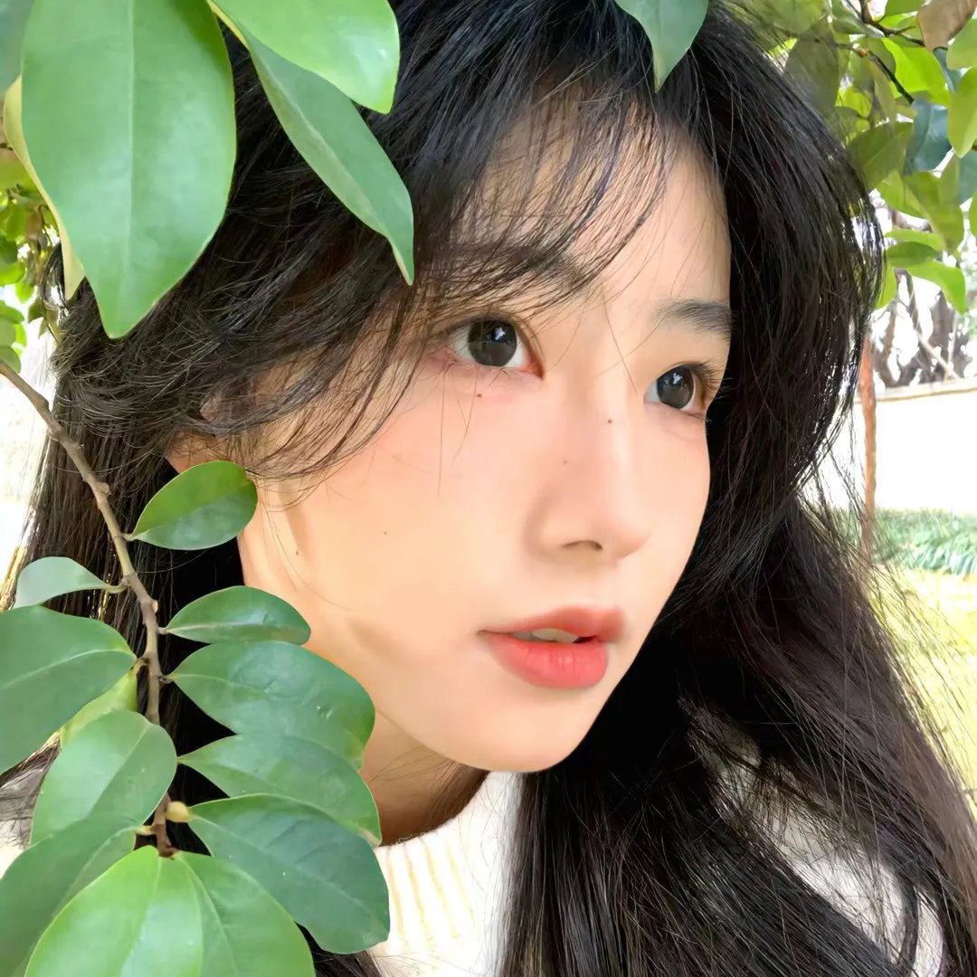 公理